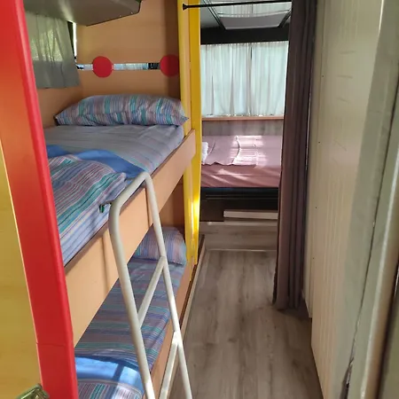 Terrebiobus *